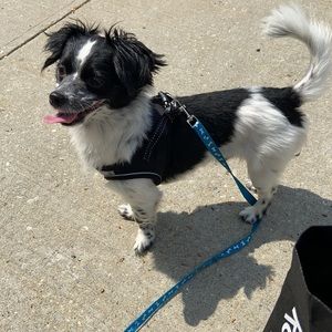 Meet your Posher, Claudio